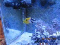 IMG_2361.jpg