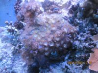 IMG_2355.jpg