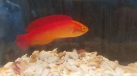 20151012_110354_zpsfz8neicy.jpg