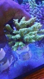 20160526_121154.jpg