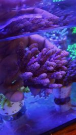 20160526_122015.jpg