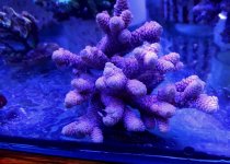 20160526_121939.jpg