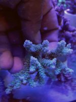 20160526_121845.jpg