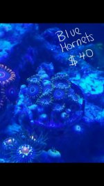 Screenshot_2016-08-25-22-07-40.jpg