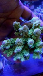20160526_121001.jpg