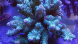 20160526_121640.jpg
