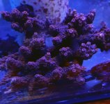 20160526_121610.jpg