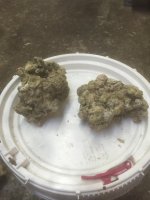 ImageUploadedByTapatalk1444746937.438381.jpg