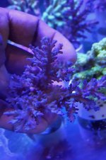 20160526_121504.jpg