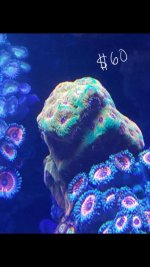 Screenshot_2016-08-25-22-01-16.jpg