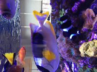 IMG_2192.jpg