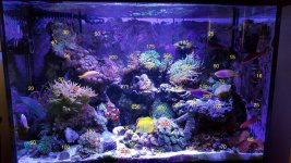 2016-03-13 16.07.37.jpg