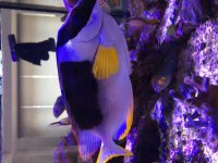 IMG_2194.jpg