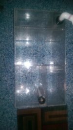 IMAG0367.jpg