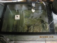 IMG_2376.jpg