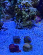 IMG_0351.jpg