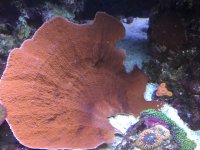 IMG_4035.jpg