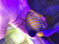 IMG_2533.jpg