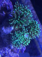 IMG_7544.jpg
