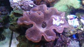 20150917_195756.jpg
