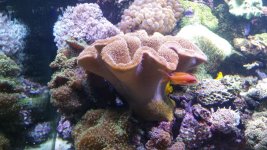 20150917_195819.jpg