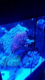 IMG_20160202_192227011.jpg