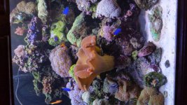 20150720_120647.jpg