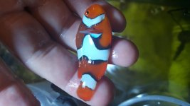 20160526_225633.jpg