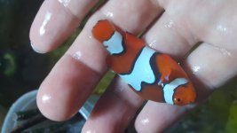 20160526_225625.jpg
