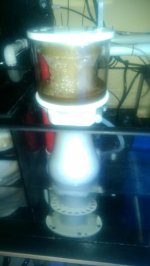 IMAG0449.jpg