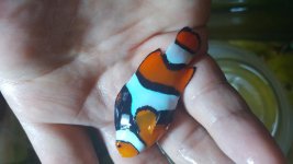 20160526_225446.jpg