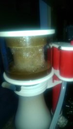 IMAG0451.jpg
