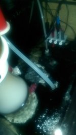 IMAG0450.jpg