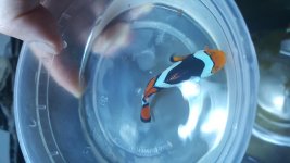 20160526_225355.jpg