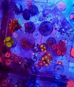 2015-05-23 11.33.42.jpg