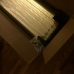 IMG_0239.jpg