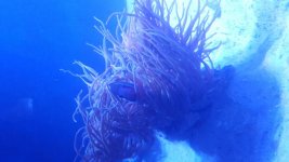 20151013_172050.jpg