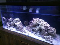 IMG_20160316_174748.jpg