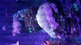 20160527_075233.jpg