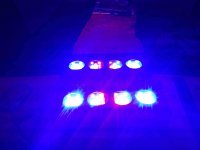 ImageUploadedByReefs2016-02-03 11:46:39 EST.jpg