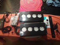 ImageUploadedByReefs2016-02-03 11:46:49 EST.jpg