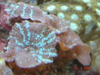DSC00592.JPG