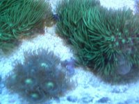 DSCF0139.JPG