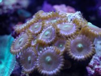 DSCN0489.jpg