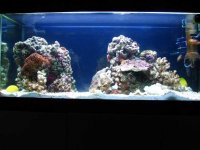 gc9n_new_aquascaping2_169.jpg