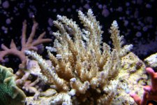 IMG_5510.JPG