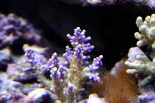 IMG_5514.JPG