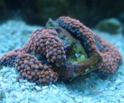 IMG_1105.JPG