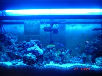 Marine Aquarium 175.jpg