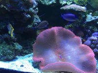 IMG_4287.jpg
